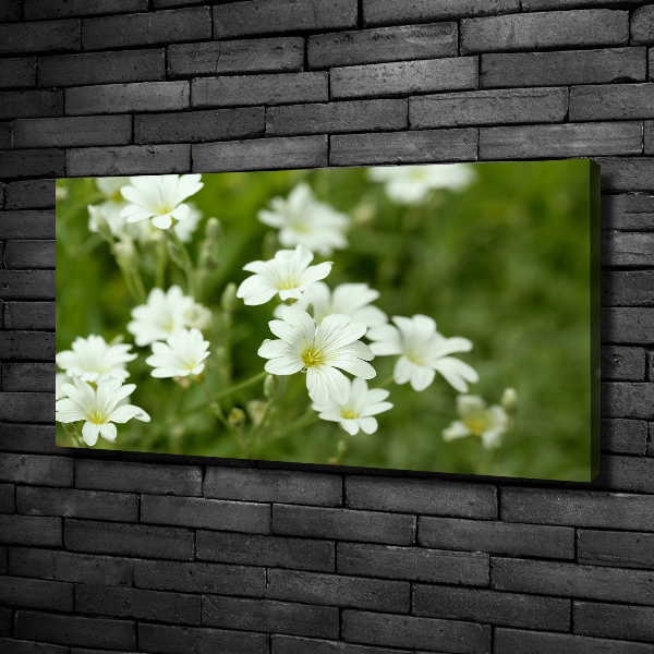 Fotocuadro en lienzo de alta calidad horizontal flores de primavera