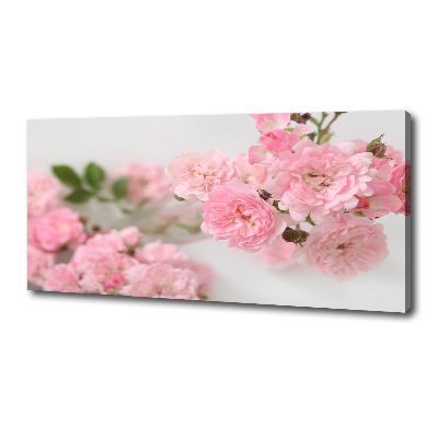 Cuadro canvas con impresión uv duradera horizontal Rosas silvestres