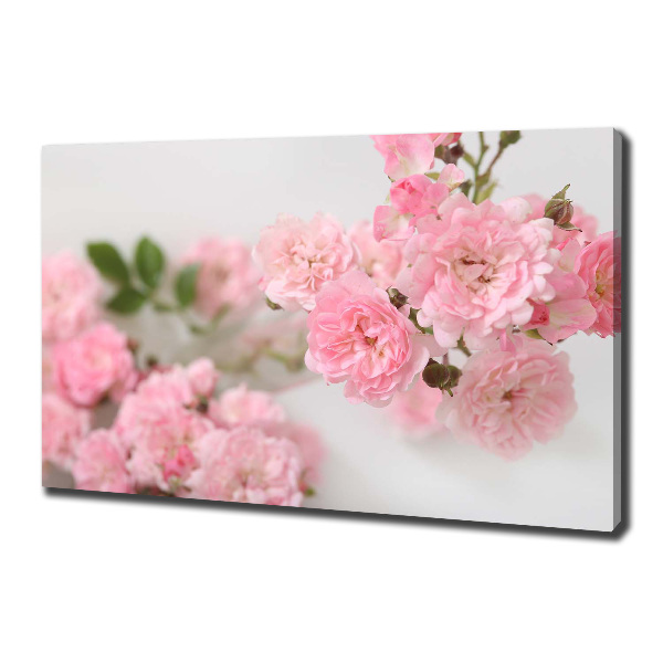 Cuadro canvas con impresión uv duradera horizontal Rosas silvestres