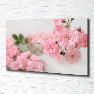 Cuadro canvas con impresión uv duradera horizontal Rosas silvestres