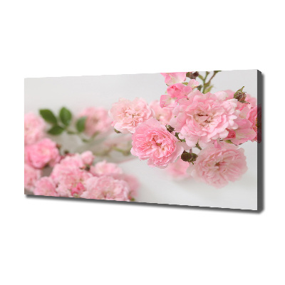 Cuadro canvas con impresión uv duradera horizontal Rosas silvestres