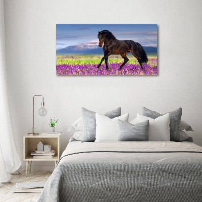 Cuadro canvas con impresión uv duradera horizontal Un caballo en un campo de lavanda.