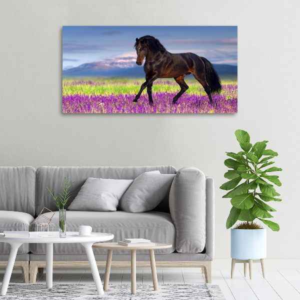 Cuadro canvas con impresión uv duradera horizontal Un caballo en un campo de lavanda.
