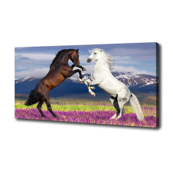 Cuadro canvas moderno de gran formato horizontal Caballos de combate de las montañas