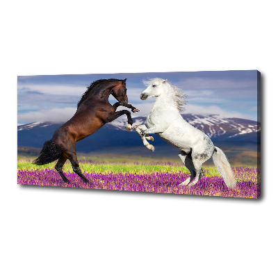 Cuadro canvas moderno de gran formato horizontal Caballos de combate de las montañas