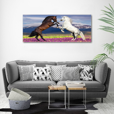 Cuadro canvas moderno de gran formato horizontal Caballos de combate de las montañas