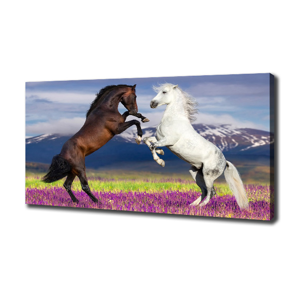 Cuadro canvas moderno de gran formato horizontal Caballos de combate de las montañas