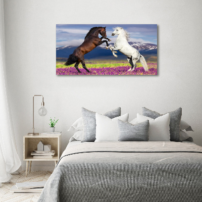 Cuadro canvas moderno de gran formato horizontal Caballos de combate de las montañas