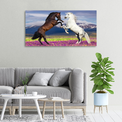 Cuadro canvas moderno de gran formato horizontal Caballos de combate de las montañas