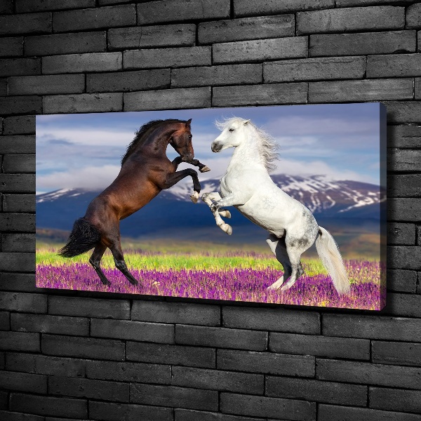 Cuadro canvas moderno de gran formato horizontal Caballos de combate de las montañas