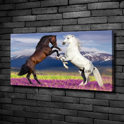 Cuadro canvas moderno de gran formato horizontal Caballos de combate de las montañas
