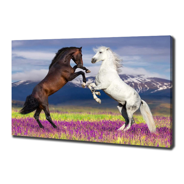 Cuadro canvas moderno de gran formato horizontal Caballos de combate de las montañas