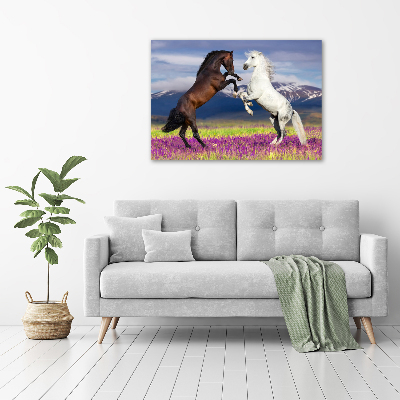 Cuadro canvas moderno de gran formato horizontal Caballos de combate de las montañas