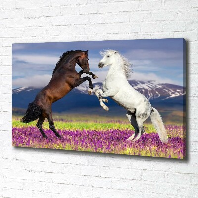Cuadro canvas moderno de gran formato horizontal Caballos de combate de las montañas