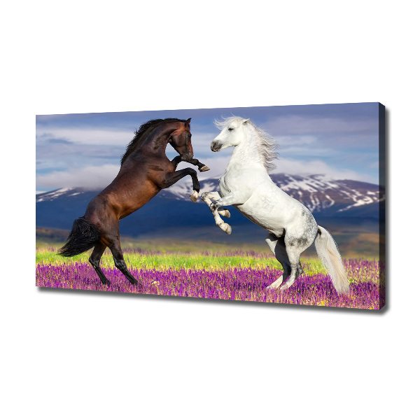 Cuadro canvas moderno de gran formato horizontal Caballos de combate de las montañas