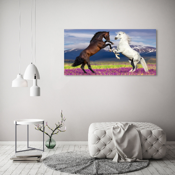 Cuadro canvas moderno de gran formato horizontal Caballos de combate de las montañas