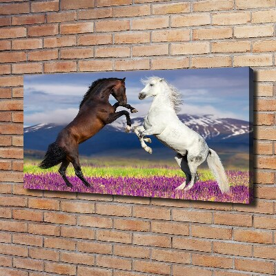 Cuadro canvas moderno de gran formato horizontal Caballos de combate de las montañas