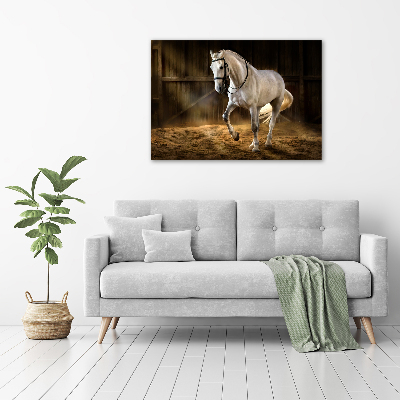 Foto en lienzo con acabado profesional horizontal Caballo blanco en el establo