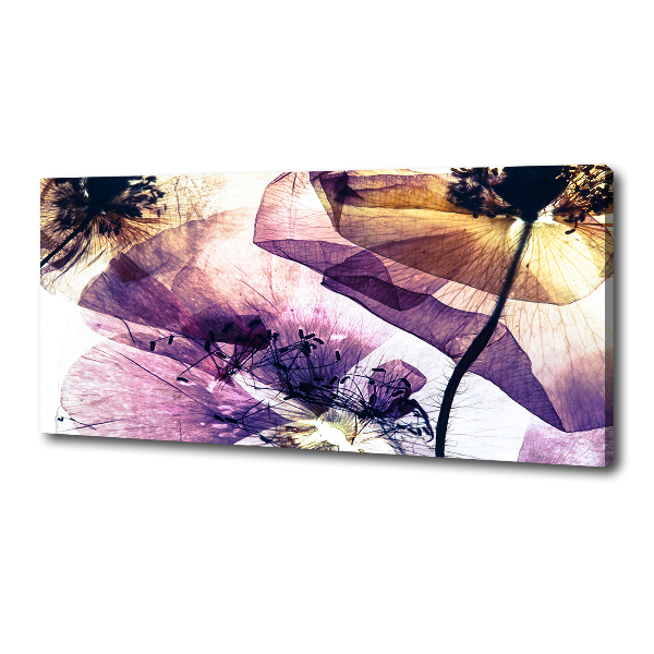 Fotocuadro en lienzo de alta calidad horizontal Amapolas secas