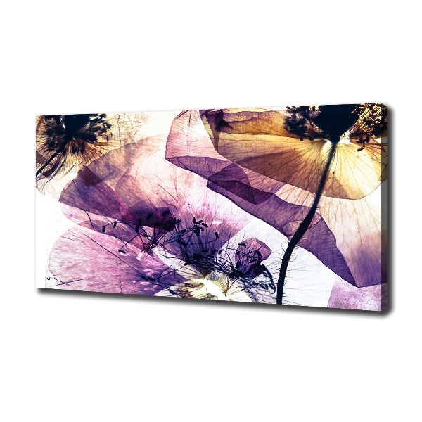 Fotocuadro en lienzo de alta calidad horizontal Amapolas secas