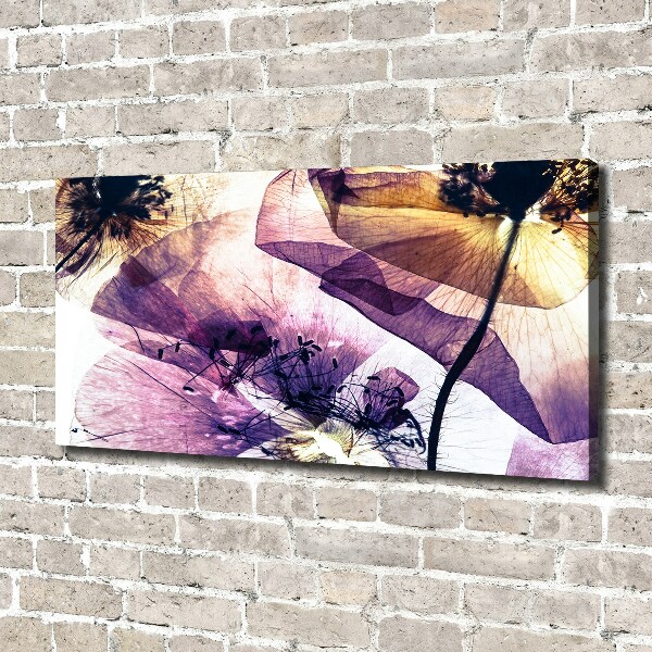 Fotocuadro en lienzo de alta calidad horizontal Amapolas secas