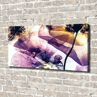 Fotocuadro en lienzo de alta calidad horizontal Amapolas secas