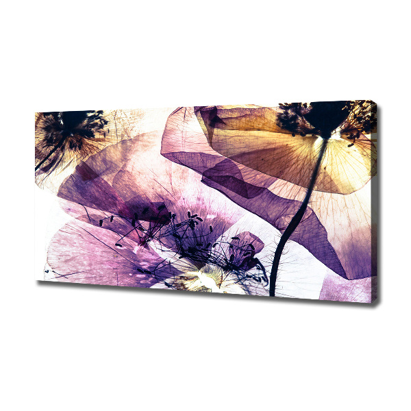 Fotocuadro en lienzo de alta calidad horizontal Amapolas secas