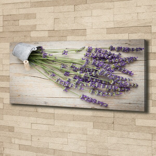 Foto obraz na płótnie Lawenda w doniczce