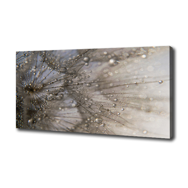 Cuadro canvas moderno de gran formato horizontal semillas de diente de león
