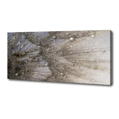Cuadro canvas moderno de gran formato horizontal semillas de diente de león