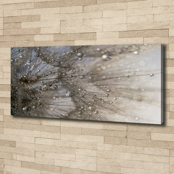 Cuadro canvas moderno de gran formato horizontal semillas de diente de león