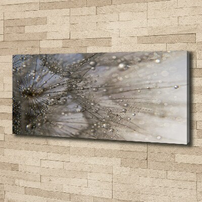 Cuadro canvas moderno de gran formato horizontal semillas de diente de león