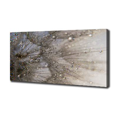 Cuadro canvas moderno de gran formato horizontal semillas de diente de león