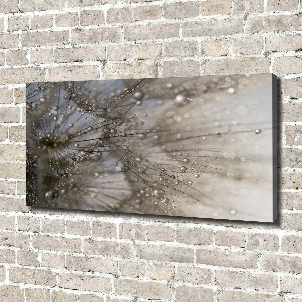 Cuadro canvas moderno de gran formato horizontal semillas de diente de león