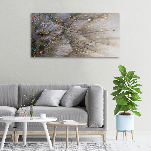 Cuadro canvas moderno de gran formato horizontal semillas de diente de león