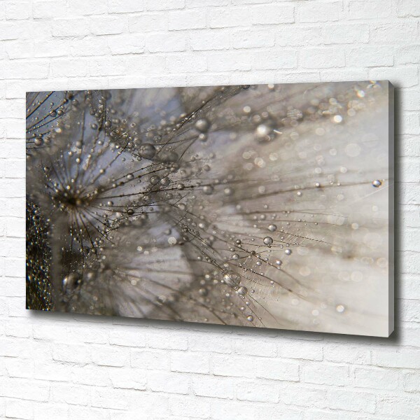 Cuadro canvas moderno de gran formato horizontal semillas de diente de león