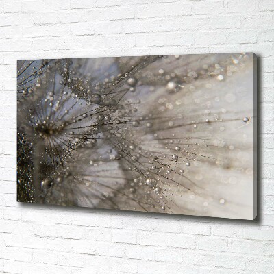 Cuadro canvas moderno de gran formato horizontal semillas de diente de león