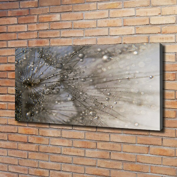 Cuadro canvas moderno de gran formato horizontal semillas de diente de león