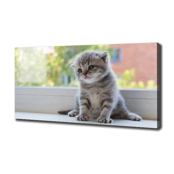 Cuadro canvas con impresión uv duradera horizontal Un pequeño gato junto a la ventana.