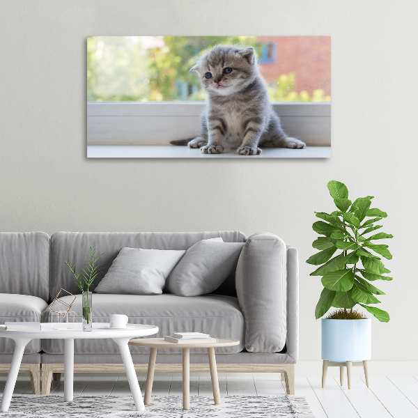 Cuadro canvas con impresión uv duradera horizontal Un pequeño gato junto a la ventana.