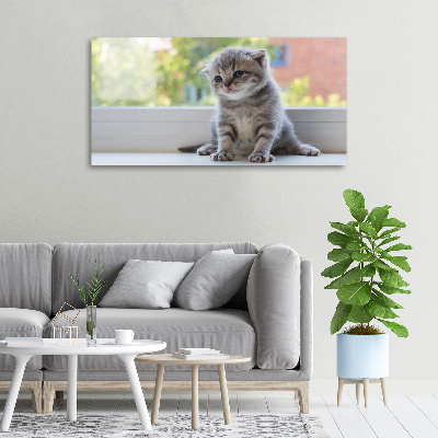 Cuadro canvas con impresión uv duradera horizontal Un pequeño gato junto a la ventana.