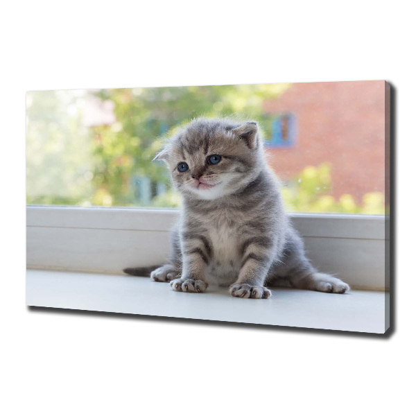 Cuadro canvas con impresión uv duradera horizontal Un pequeño gato junto a la ventana.