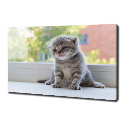 Cuadro canvas con impresión uv duradera horizontal Un pequeño gato junto a la ventana.