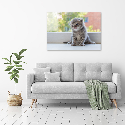 Cuadro canvas con impresión uv duradera horizontal Un pequeño gato junto a la ventana.