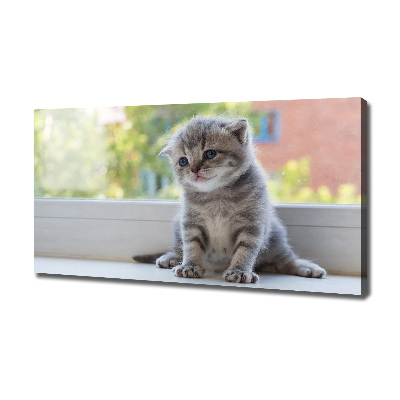 Cuadro canvas con impresión uv duradera horizontal Un pequeño gato junto a la ventana.