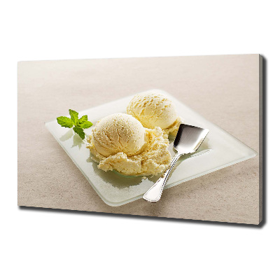 Cuadro canvas con impresión uv duradera horizontal Helado en un plato