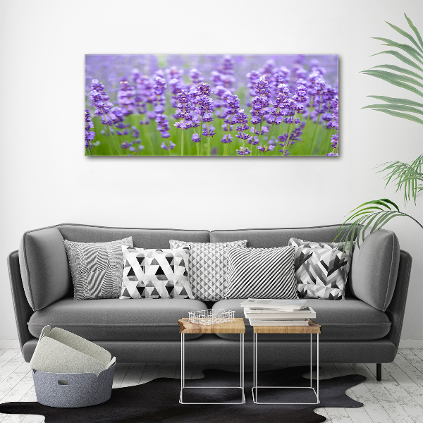 Foto en lienzo con acabado profesional horizontal Lavanda