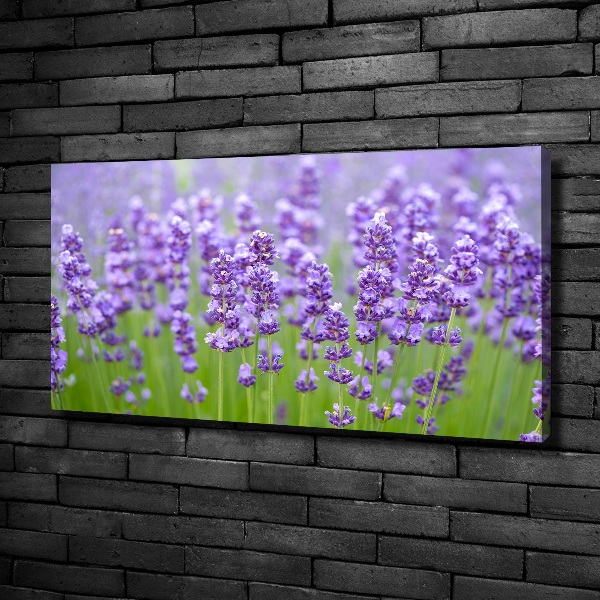 Foto en lienzo con acabado profesional horizontal Lavanda