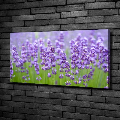 Foto en lienzo con acabado profesional horizontal Lavanda