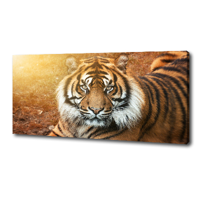 Cuadro canvas con impresión uv duradera horizontal tigre de Bengala